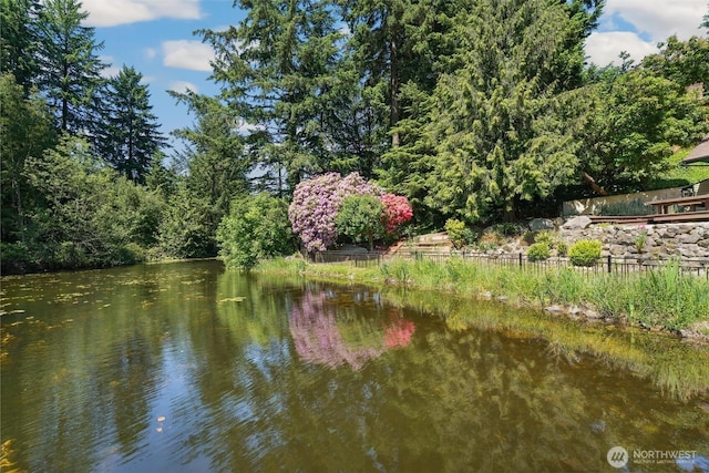 35029 37th Ave S, Auburn, WA 98001 - water view