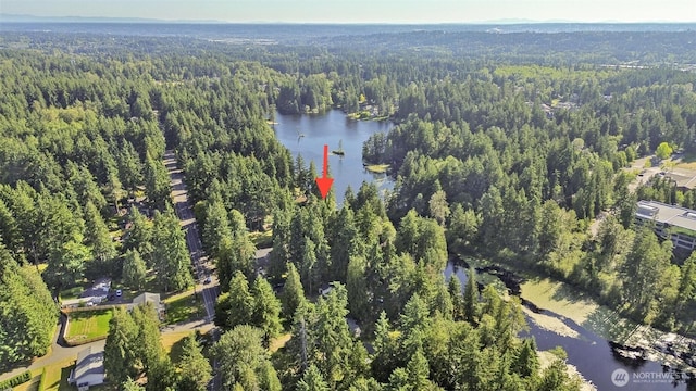 35029 37th Ave S, Auburn, WA 98001 - aerial view of property's location featuring a heavily wooded area and a nearby body of water
