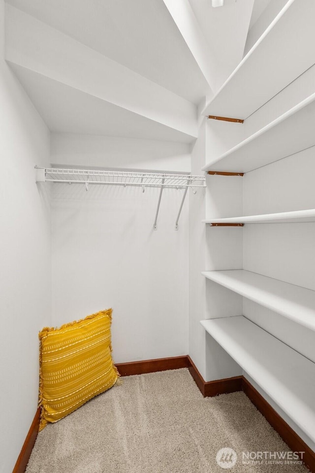 672 NE 40th St, Seattle, WA 98105 - spacious closet featuring carpet floors