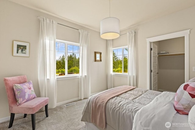 3707 Simmons Heights Ln SW, Tumwater, WA 98512 - bedroom featuring multiple windows, carpet flooring, and baseboards