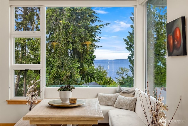 10555 NE Morning Ln, Bainbridge Island, WA 98110 - photo 11
