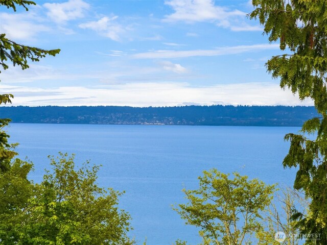10555 NE Morning Ln, Bainbridge Island, WA 98110 - photo 12