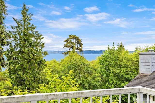 10555 NE Morning Ln, Bainbridge Island, WA 98110 - photo 31