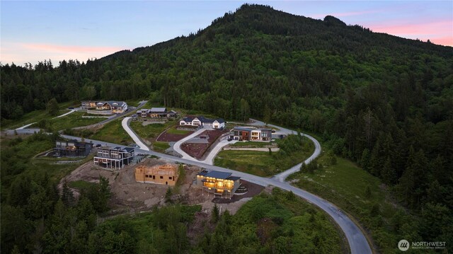 20519 Benson Ridge Ln, Mount Vernon, WA 98274 - aerial view of property and surrounding area with a forest and a mountainous background