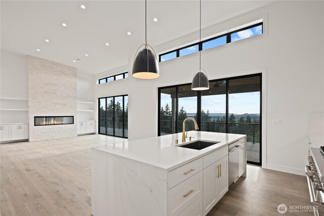 20519 Benson Ridge Ln, Mount Vernon, WA 98274 - kitchen featuring a sink, a towering ceiling, stainless steel appliances, built in features, and recessed lighting