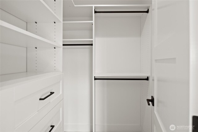 20519 Benson Ridge Ln, Mount Vernon, WA 98274 - view of spacious closet