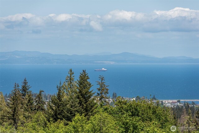 9999 Diamond Vista Dr, Port Angeles, WA 98363 - photo 1