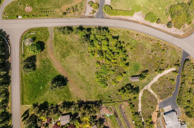 9999 Diamond Vista Dr, Port Angeles, WA 98363 - photo 3