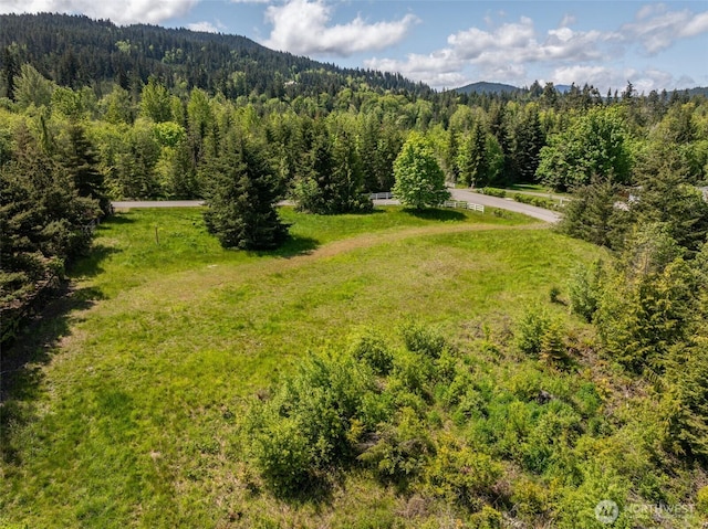 9999 Diamond Vista Dr, Port Angeles, WA 98363 - photo 5