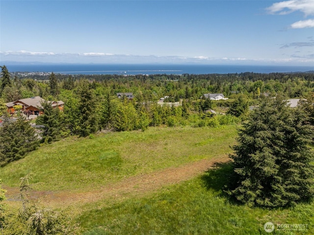 9999 Diamond Vista Dr, Port Angeles, WA 98363 - photo 7