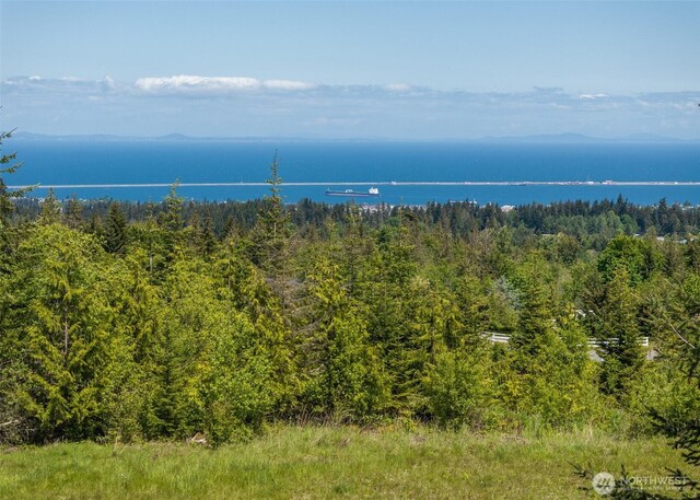 9999 Diamond Vista Dr, Port Angeles, WA 98363 - photo 8