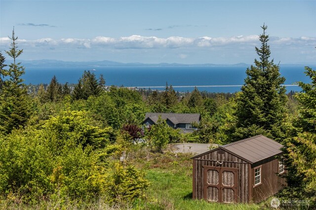 9999 Diamond Vista Dr, Port Angeles, WA 98363 - photo 9