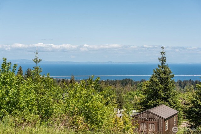 9999 Diamond Vista Dr, Port Angeles, WA 98363 - photo 12