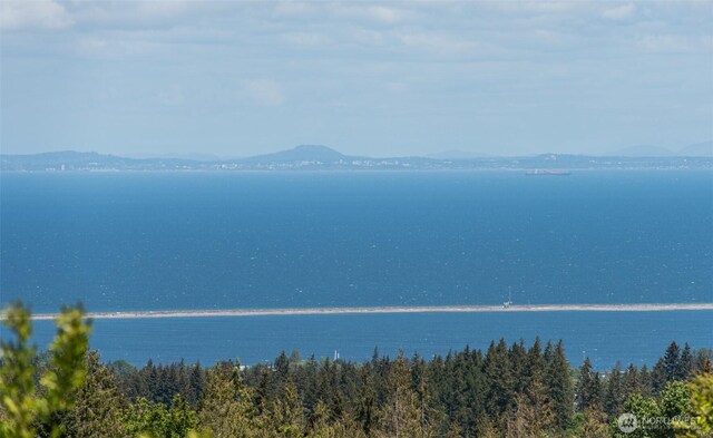 9999 Diamond Vista Dr, Port Angeles, WA 98363 - photo 13