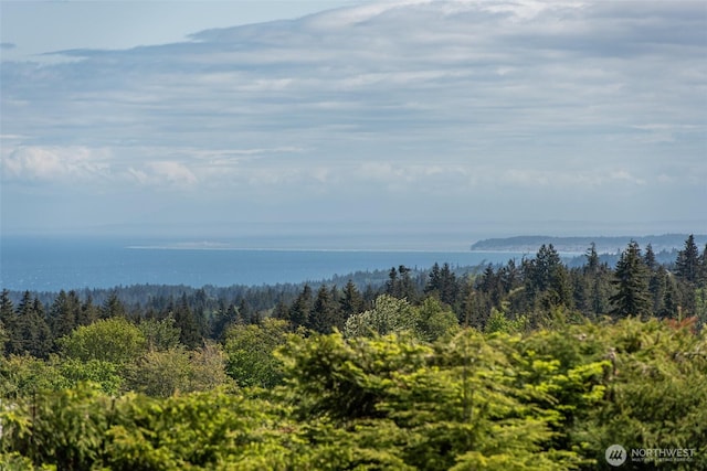 9999 Diamond Vista Dr, Port Angeles, WA 98363 - photo 14
