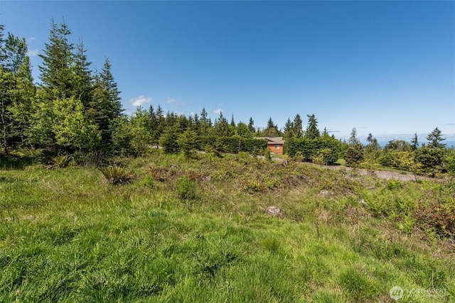 9999 Diamond Vista Dr, Port Angeles, WA 98363 - photo 15