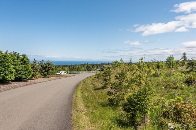 9999 Diamond Vista Dr, Port Angeles, WA 98363 - photo 17