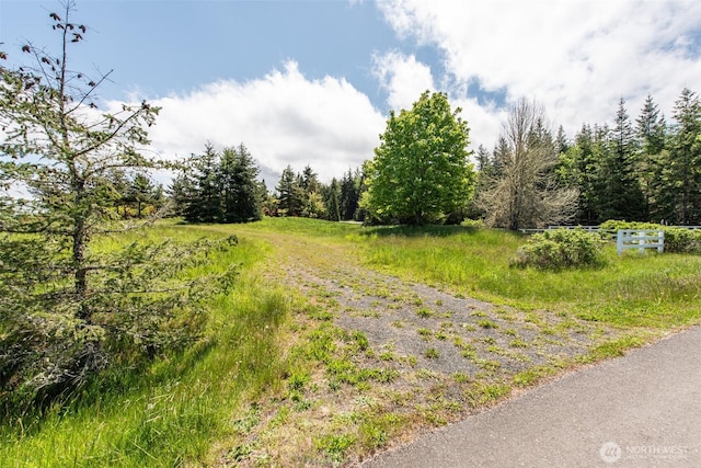 9999 Diamond Vista Dr, Port Angeles, WA 98363 - photo 18