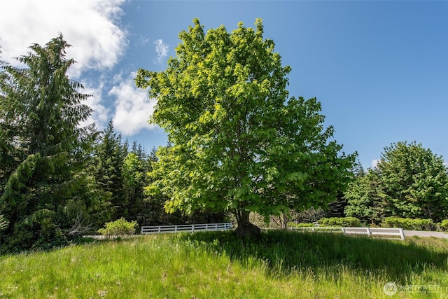 9999 Diamond Vista Dr, Port Angeles, WA 98363 - photo 20