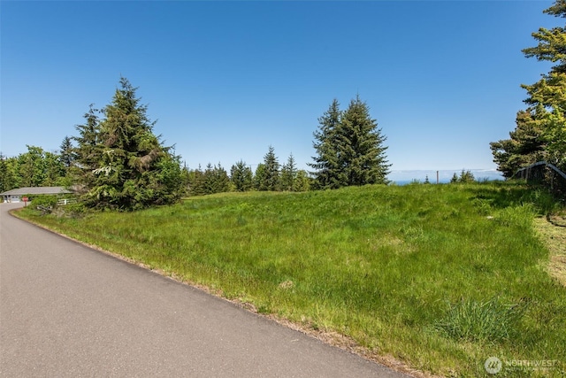 9999 Diamond Vista Dr, Port Angeles, WA 98363 - photo 24