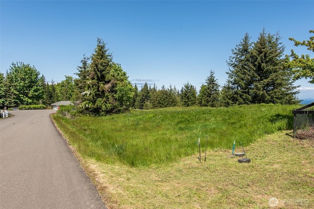9999 Diamond Vista Dr, Port Angeles, WA 98363 - photo 25