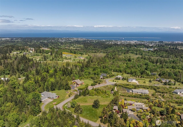 9999 Diamond Vista Dr, Port Angeles, WA 98363 - photo 26