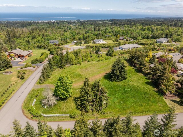 9999 Diamond Vista Dr, Port Angeles, WA 98363 - photo 27