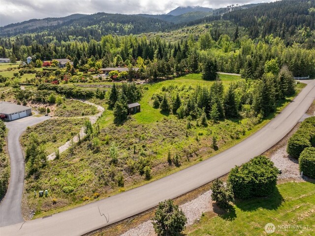 9999 Diamond Vista Dr, Port Angeles, WA 98363 - photo 29