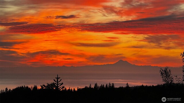 9999 Diamond Vista Dr, Port Angeles, WA 98363 - photo 30