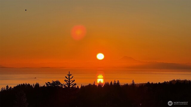 9999 Diamond Vista Dr, Port Angeles, WA 98363 - photo 31