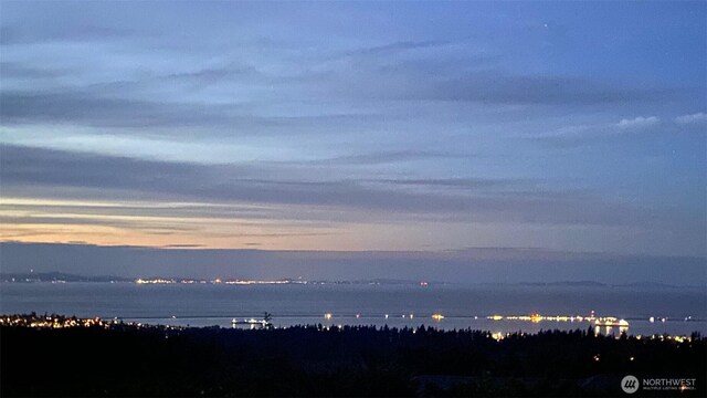 9999 Diamond Vista Dr, Port Angeles, WA 98363 - photo 32