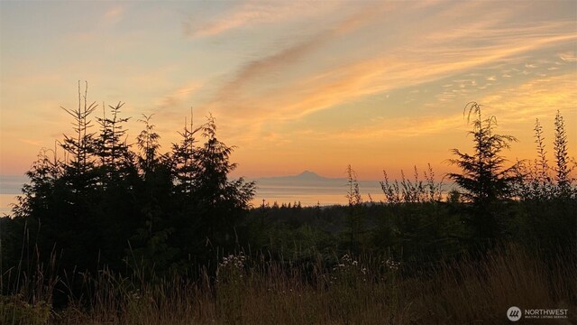 9999 Diamond Vista Dr, Port Angeles, WA 98363 - photo 33