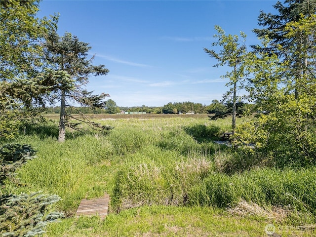 1160 Cays Rd, Sequim, WA 98382 - view of local wilderness featuring rural landscape