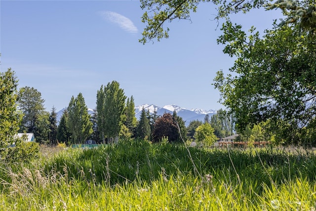 1160 Cays Rd, Sequim, WA 98382 - view of local wilderness featuring a mountain backdrop