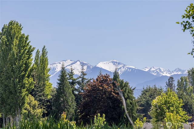 1160 Cays Rd, Sequim, WA 98382 - mountain view