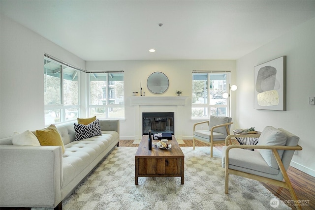 12019 NE 204th Pl Unit D303, Bothell, WA 98011 - living room featuring baseboards, wood finished floors, a fireplace with flush hearth, and recessed lighting