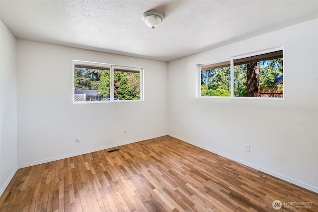 11319 86th Ave E, Puyallup, WA 98373 - empty room with plenty of natural light, light wood finished floors, baseboards, and a textured ceiling