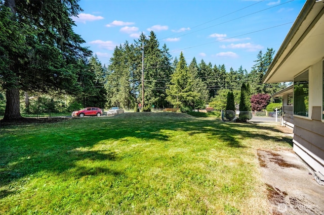 11319 86th Ave E, Puyallup, WA 98373 - view of grassy yard
