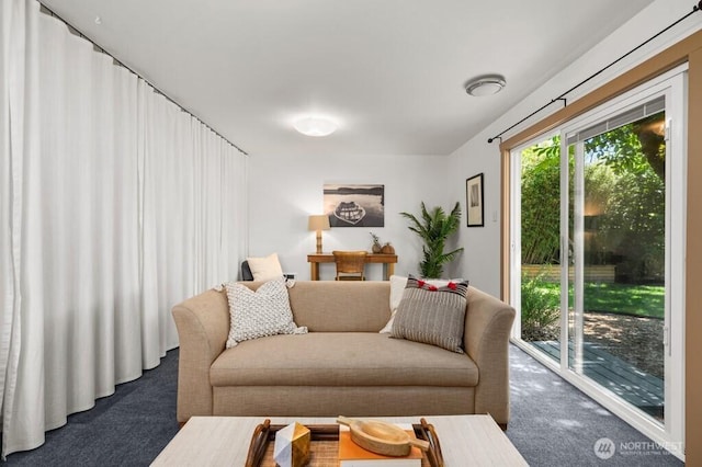8414 34th Ave SW, Seattle, WA 98126 - view of carpeted living area
