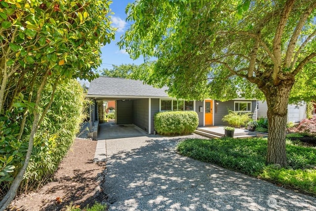 8414 34th Ave SW, Seattle, WA 98126 - ranch-style home featuring concrete driveway, a shingled roof, and an attached carport