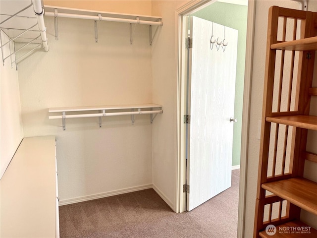 173 Steelhead Dr, Silver Creek, WA 98585 - walk in closet featuring carpet floors