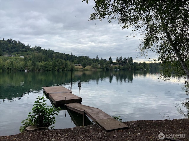 173 Steelhead Dr, Silver Creek, WA 98585 - dock area featuring a water view and a forest view