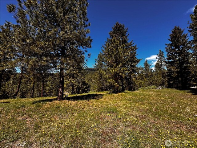 152 High Country Dr E, Tonasket, WA 98855 - photo 29