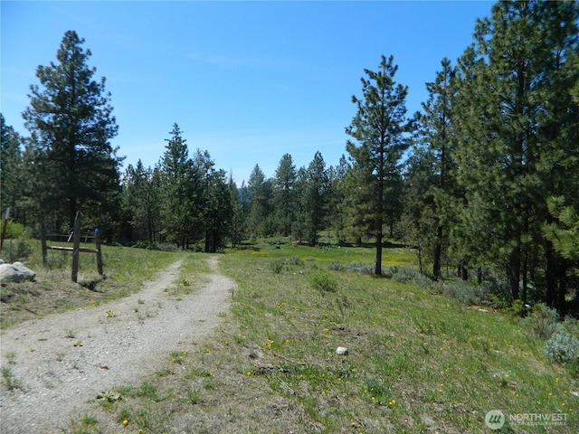 152 High Country Dr E, Tonasket, WA 98855 - photo 30