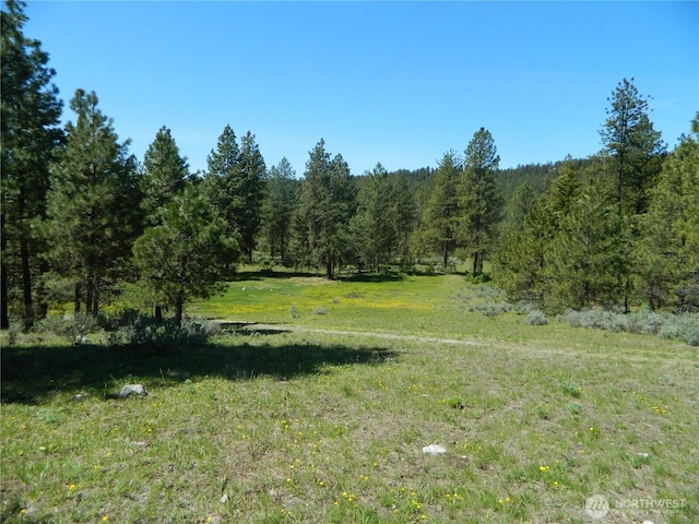 152 High Country Dr E, Tonasket, WA 98855 - photo 31