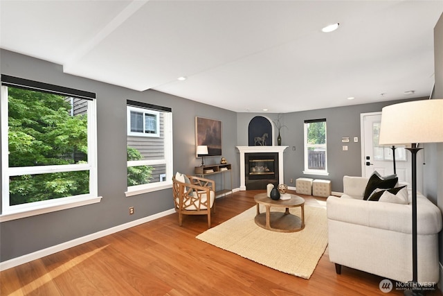3633 22nd Ave W Unit C, Seattle, WA 98199 - living area with wood finished floors, baseboards, a glass covered fireplace, and recessed lighting