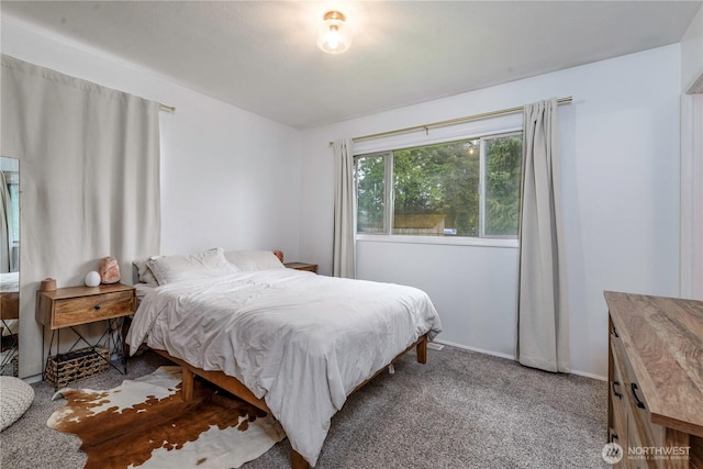 8718 Hipkins Rd SW, Lakewood, WA 98498 - bedroom with carpet and baseboards