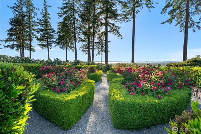33020 84th Ave NW, Stanwood, WA 98292 - view of yard