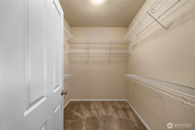 8122 104th Street Ct SW, Lakewood, WA 98498 - walk in closet featuring carpet