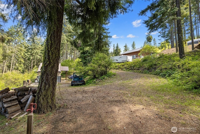 131 Horse Heaven Rd, Cle Elum, WA 98922 - view of yard